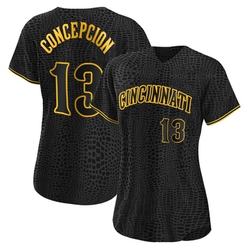 Cincinnati Reds 2023 City Connect Jerseys Votto Luke Maile Lodolo Stuart  Fairchild Friedl Jonathan India Johnny Bench Tyler Stephenson Custom  Baseball Jerseys - China 2023 City Connect Jerseys and City Connect Jerseys